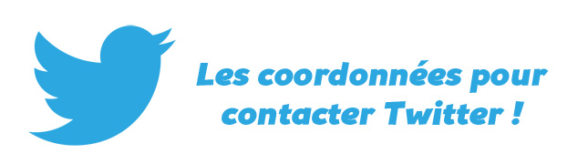 Logo (petit oiseau bleu) du réseau social Twitter.