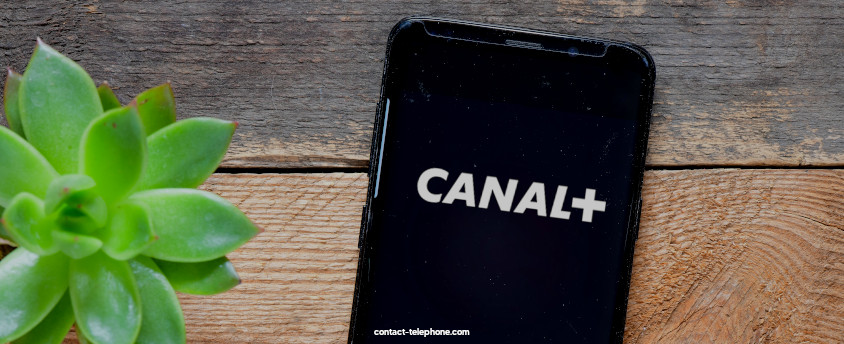 Smartphone affichant le logo de Canal plus sur son écran, posé à côté d'une petite plante.