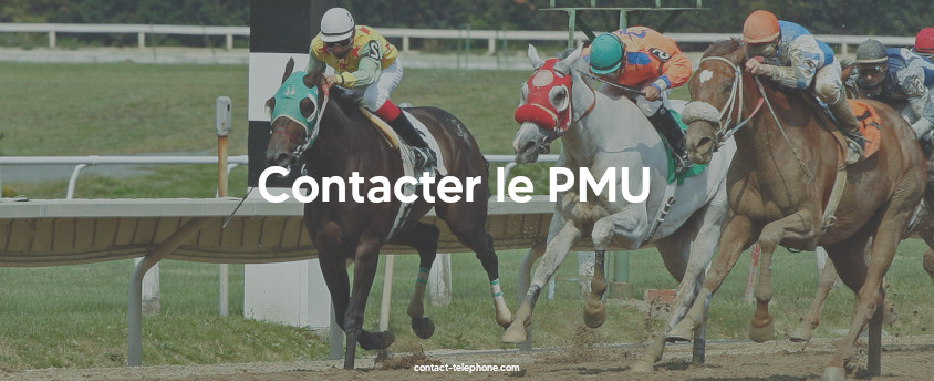 Chevaux montés par des jockeys lors d'une course hippique sur un hippodrome. 