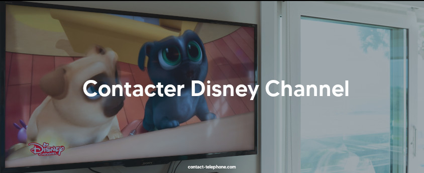 Télévision diffusant un dessin animé sur Disney Channel, elle est placée à côté d'une baie vitrée.