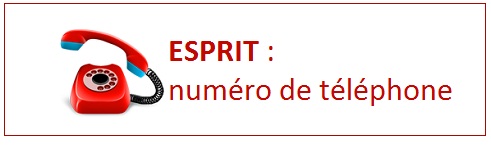 Numéro d'Esprit