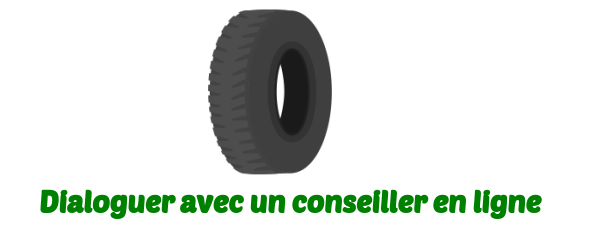 conseiller michelin