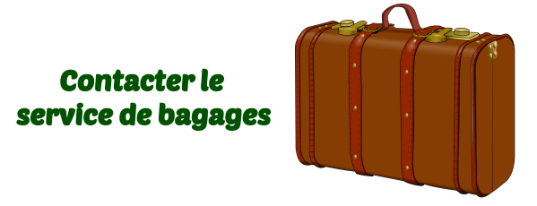 perte-bagage-delta-airlines