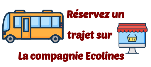 Ecolines transports