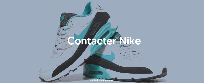 Paire de sneakers Nike (Air Max).