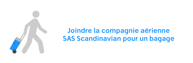 SAS Scandinavian Contact bagage