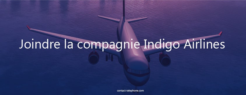 Indigo Airlines Contact
