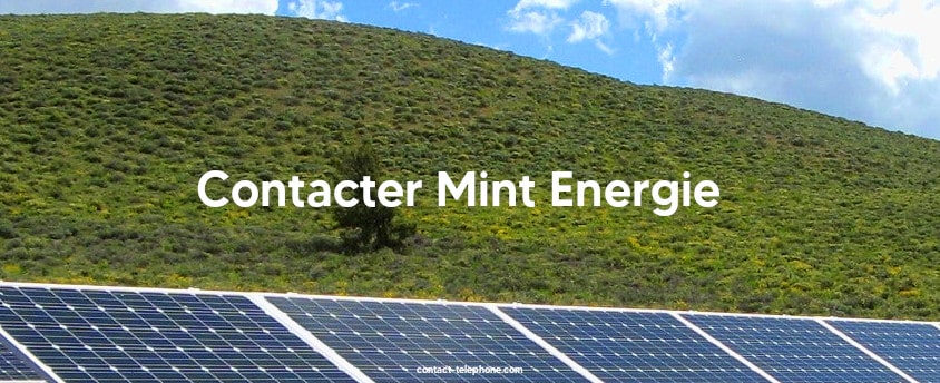 Mint Energie contact