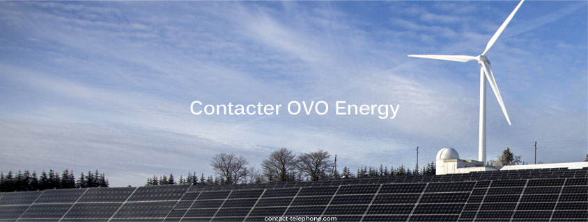 OVO Energy Contact