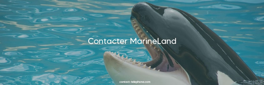 Contacter MarineLand