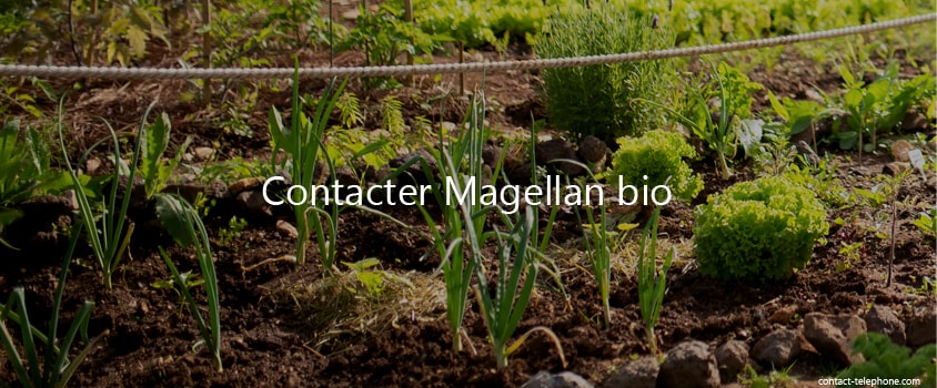 Contacter Magellan-bio