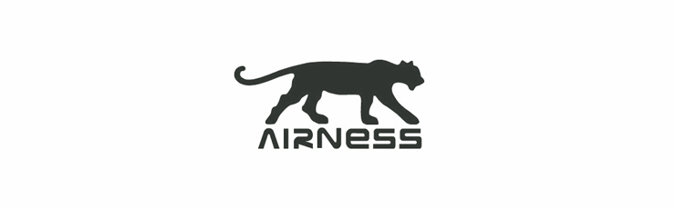 Logo Airness