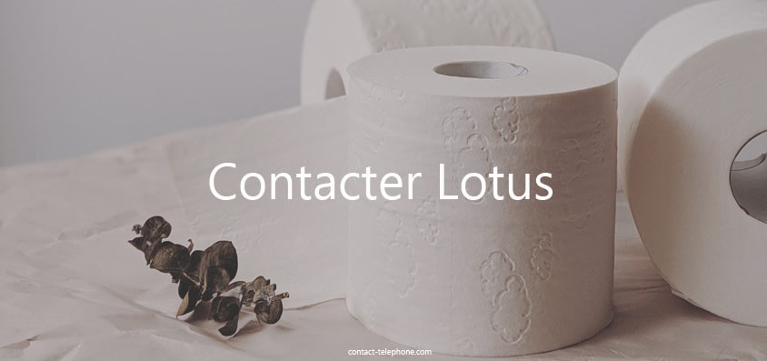 Contacter Lotus