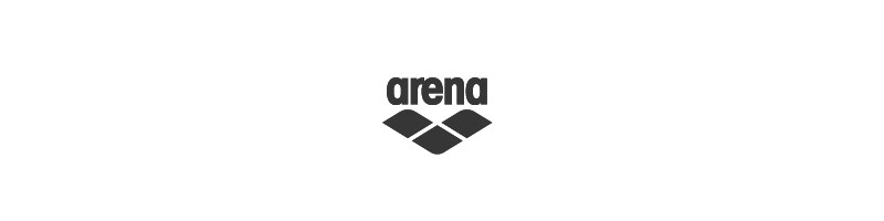 Logo Arena