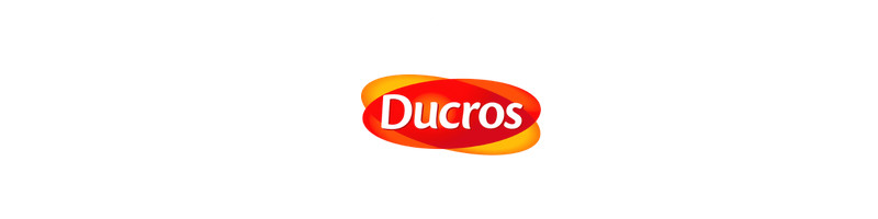 Logo Ducros