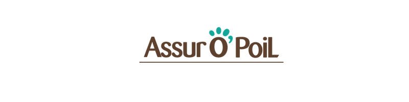 Logo Assuropoil