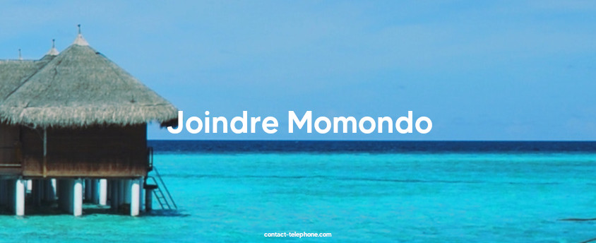 Contact Momondo