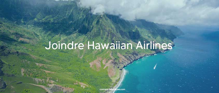 Une île de Hawaii (montagne et océan) vue depuis un avion.