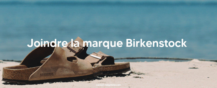 Paire de chaussures Birkenstock sur une plage devant la mer.