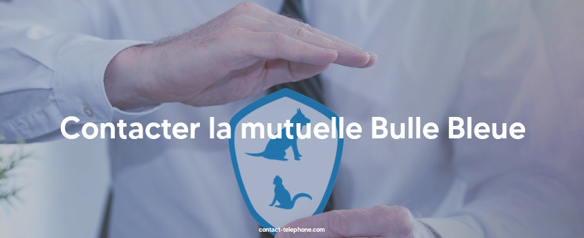 Mains d'un homme protégeant une icône représentant une assurance pour chien et chat.