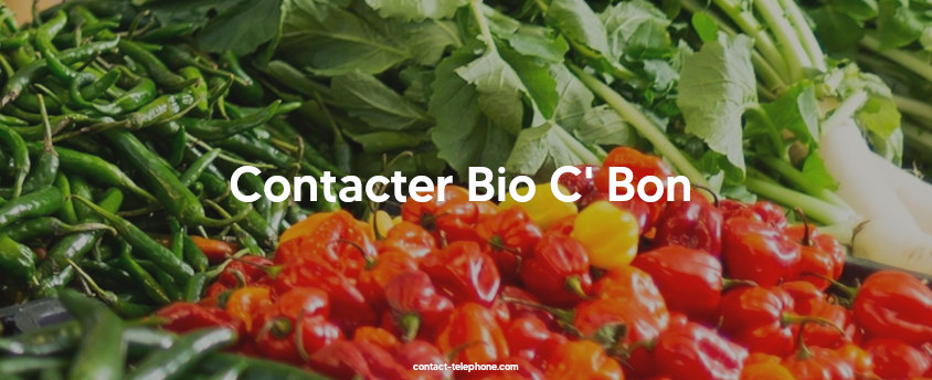 Légumes bios (poivrons, piments, fenouils...) sur un étalage.