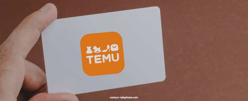 Carte d'achat affichant le logo Temu, tenu dans une main.