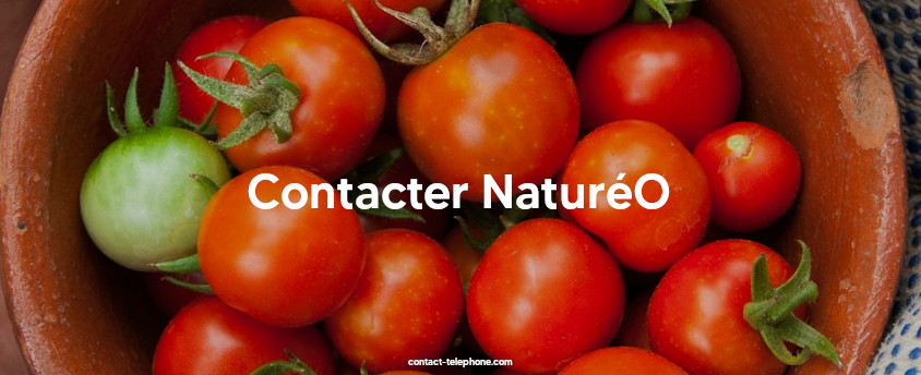 Tomates cerises biologiques.