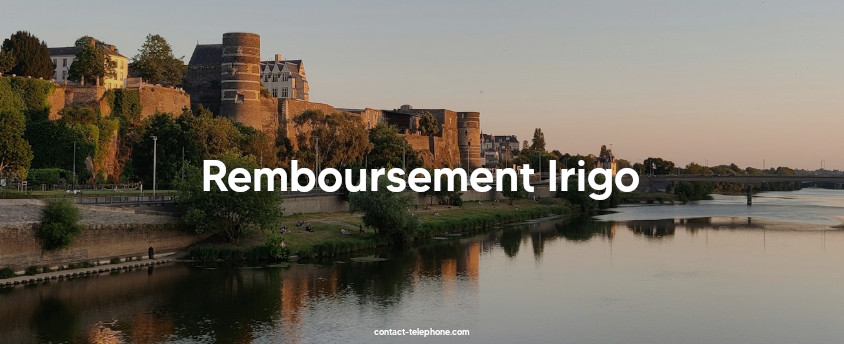 Château d'Angers et la Maine.