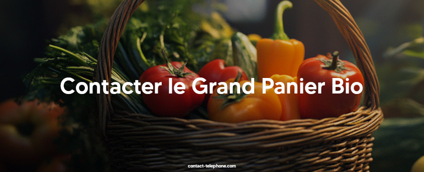 Panier contenant des légumes : des tomates, des poivrons, du fenouil...