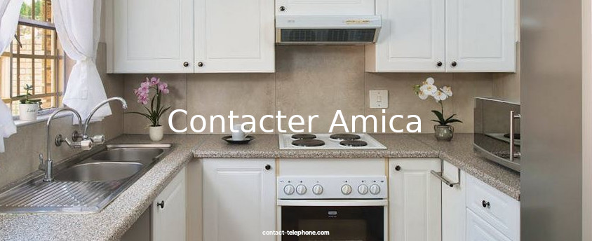 Cuisine équipée d'appareils Amica